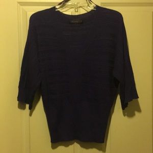 The limited purple v neck sweater